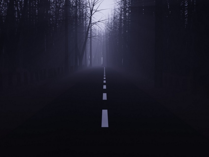 road, forest, fog, mist, trees, dark