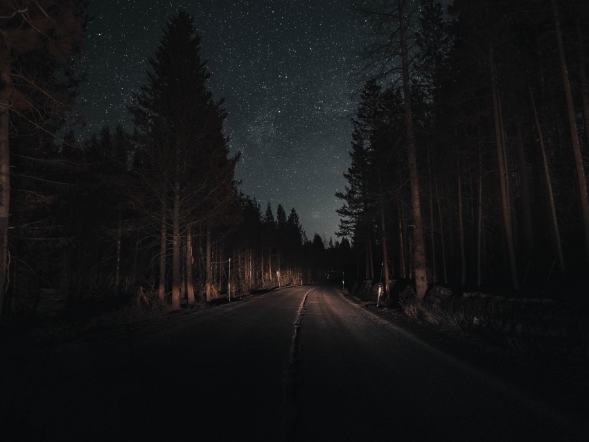 road, forest, night, starry sky, turn