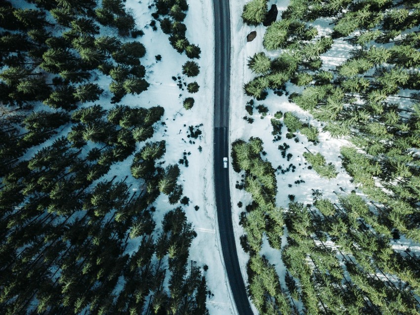 road, forest, snow, trees, aerial view