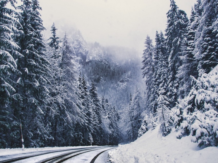 road, forest, turn, mountains, snowy, winter, trees