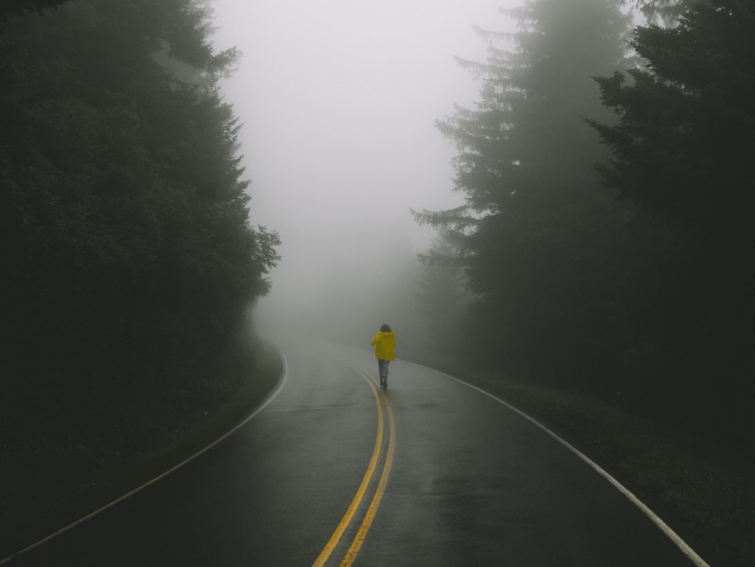 road, man, fog, loneliness, markup, turn