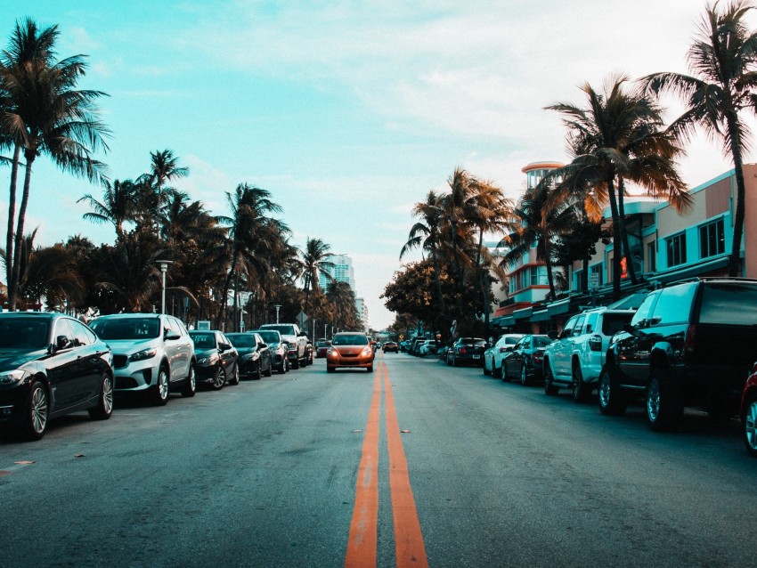 road, markings, palm trees, cars