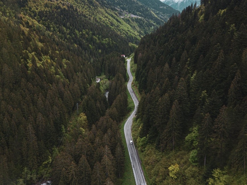 road, mountains, aerial view, forest, trees