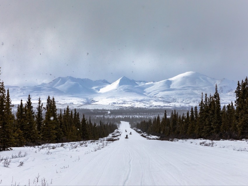 road, mountains, snow, trees, winter, landscape