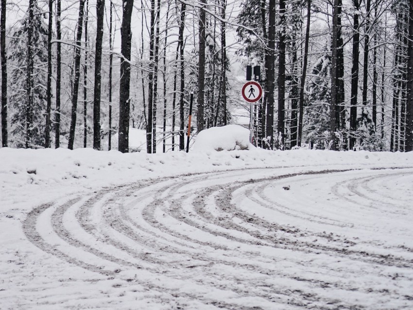 road, snow, turn, trees, winter
