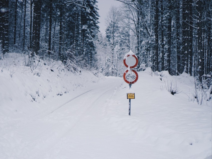 road, snow, winter, pointer, forest