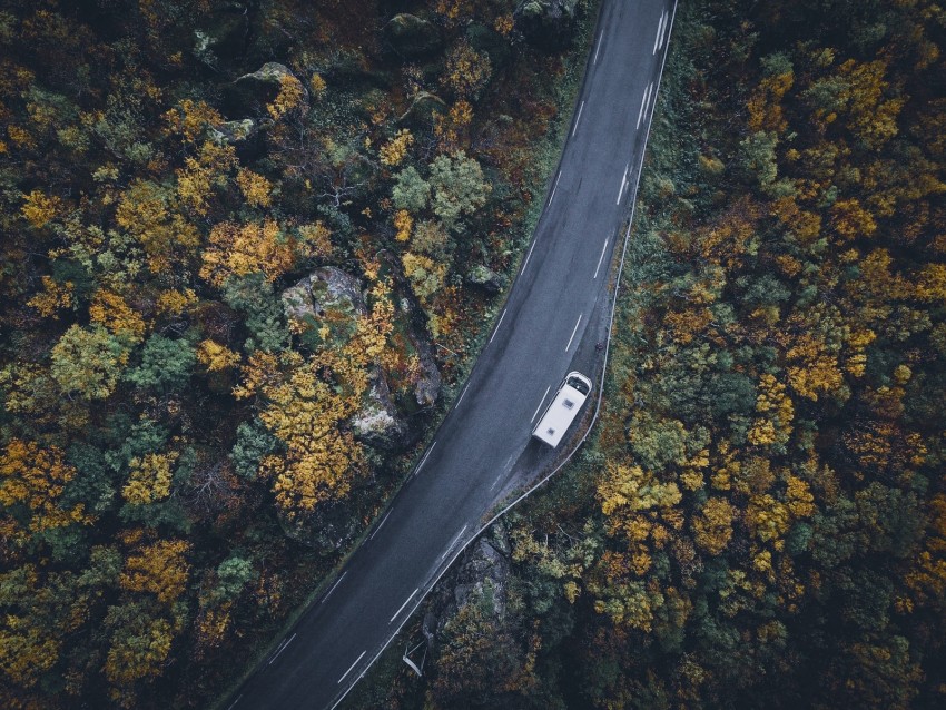 road, top view, trees, autumn, car