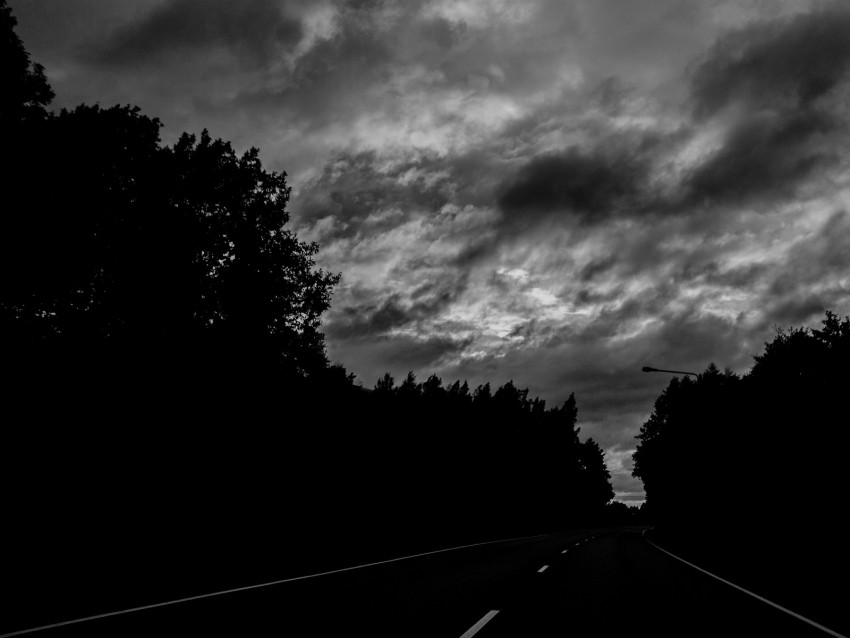 road, trees, dark, turn, bw
