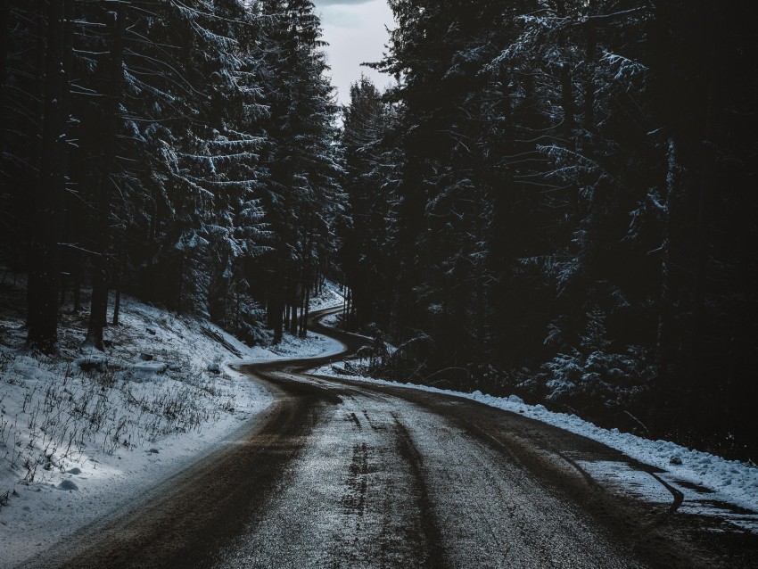 road, trees, snow, winter, winding