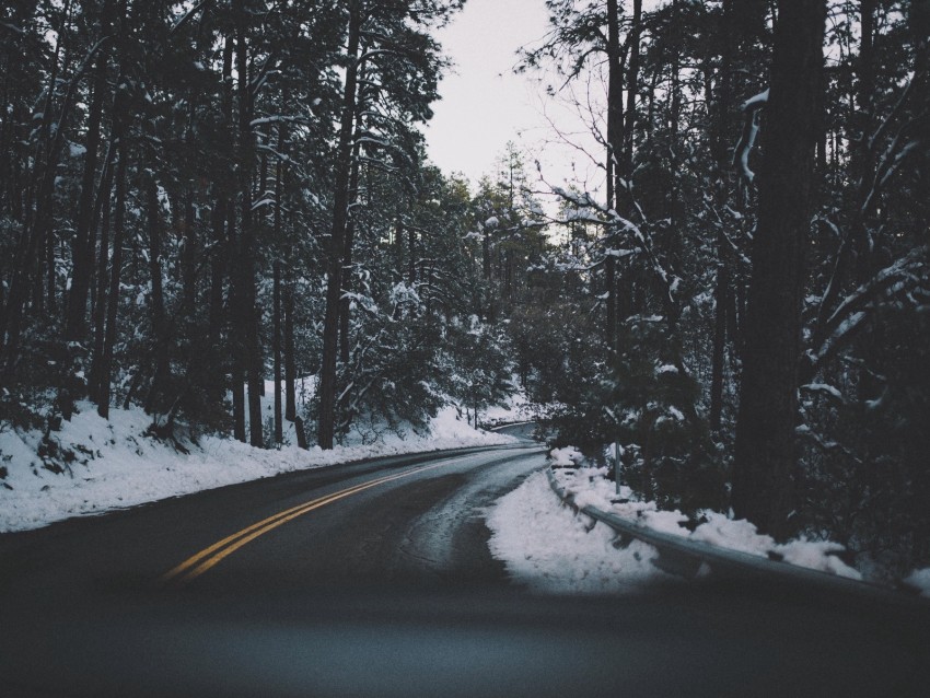 road, turn, trees, snow, asphalt