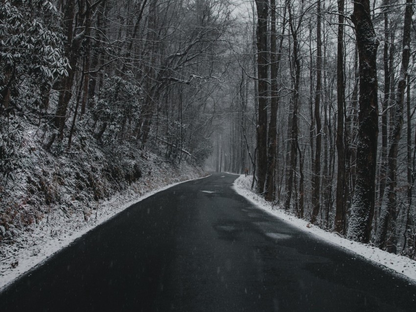 road, turn, trees, snow, overcast