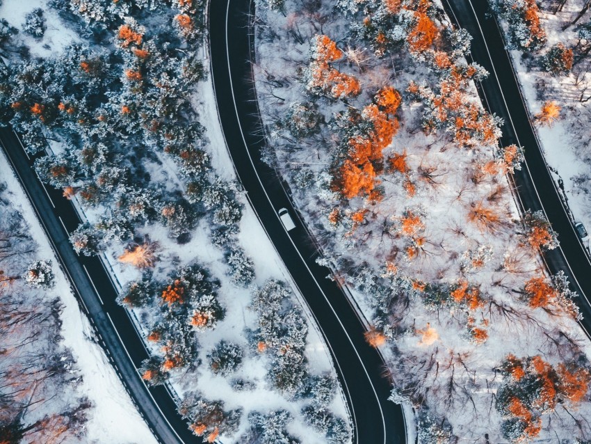 road, winding, trees, snow, panorama, aerial view, zigzag