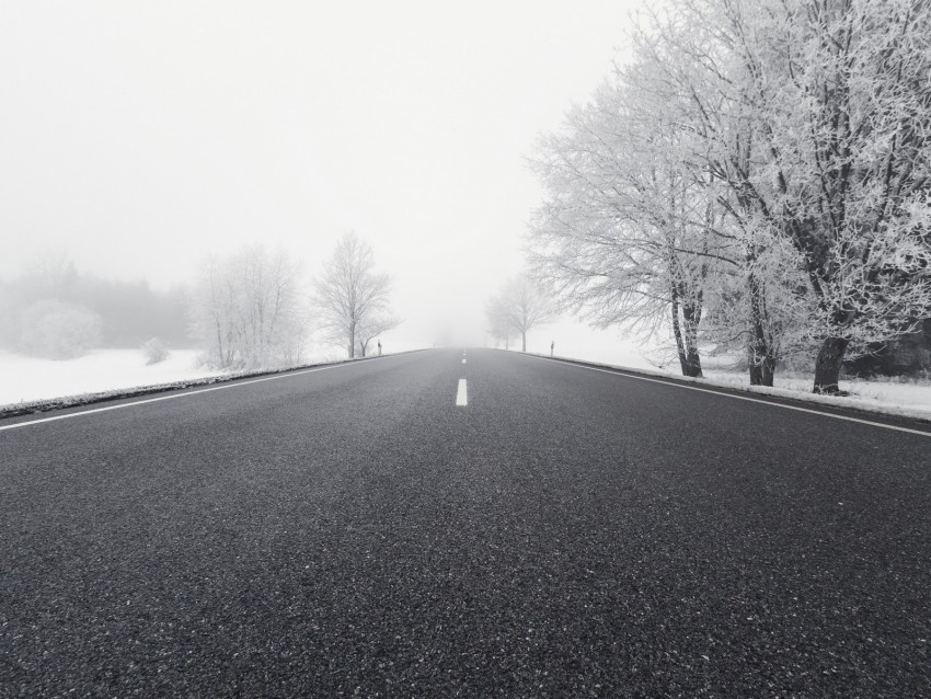 road, winter, bw, snow, fog, trees, direction