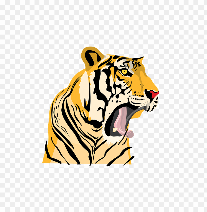 roaring tiger