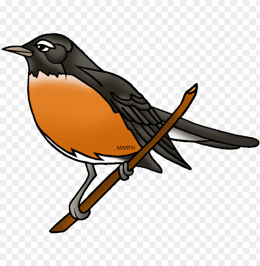 robin, phoenix bird, twitter bird logo, small arrow, big bird, bird wings