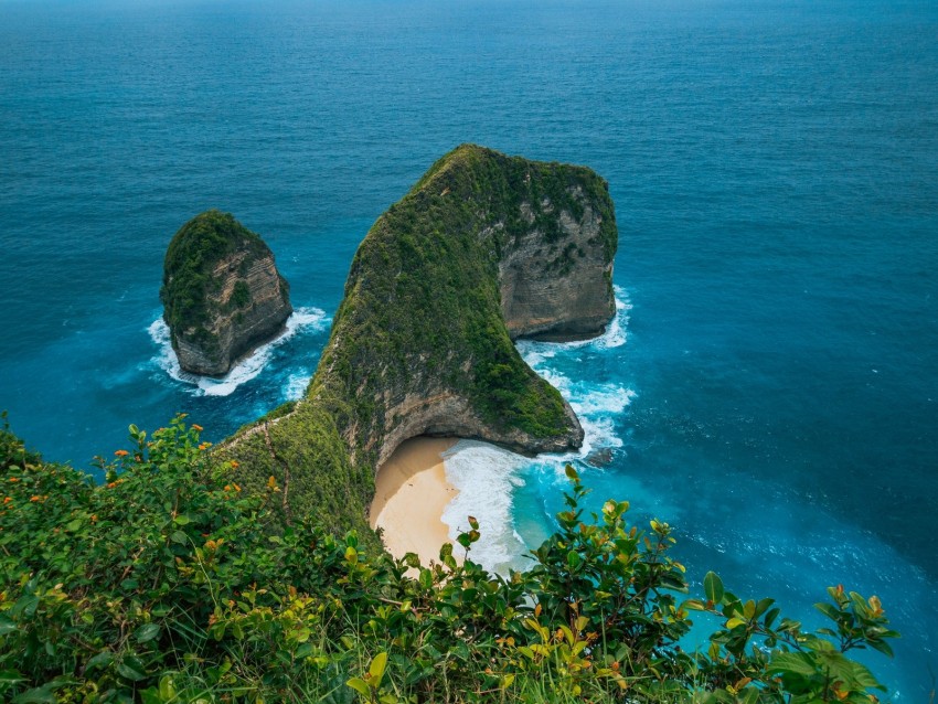 rock, cliff, sea, vegetation