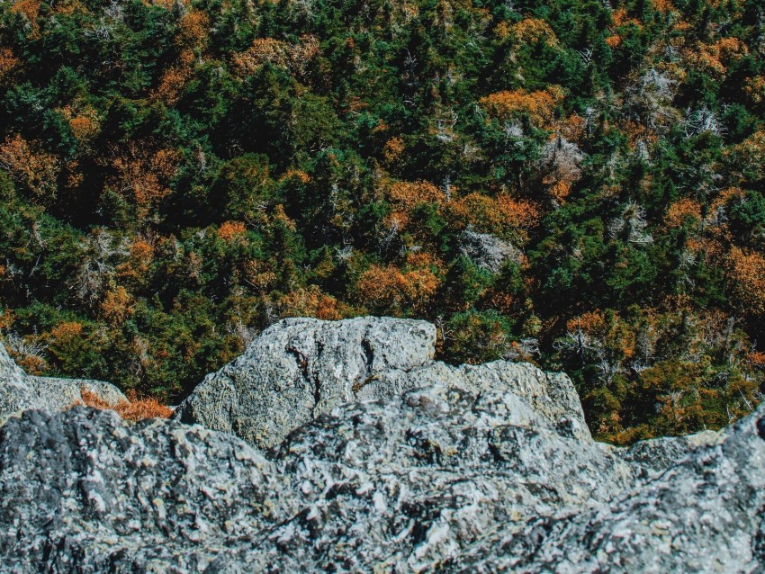 rock, trees, stone, aerial view