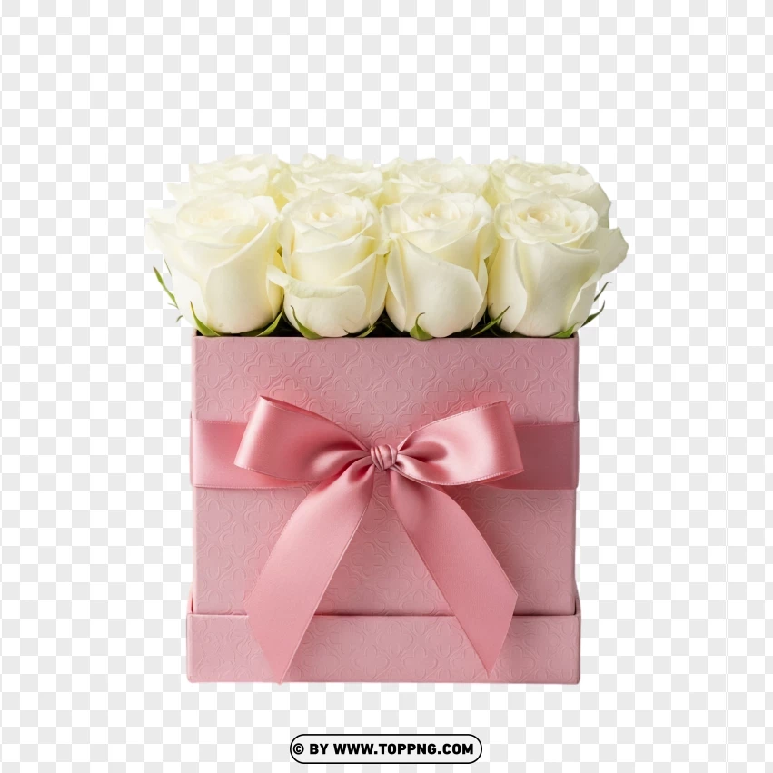 Romantic White Roses In Pink Box PNG Transparent Background