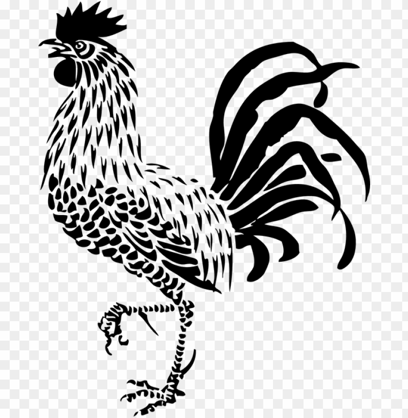 rooster poultry bird animal proud calling crow rooster art black and white PNG transparent with Clear Background ID 212861
