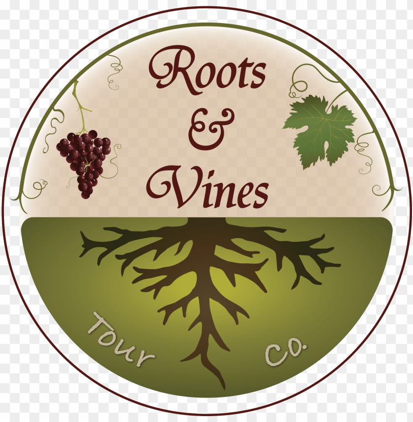tree roots, travel, vine, tourism, root, retro, ivy