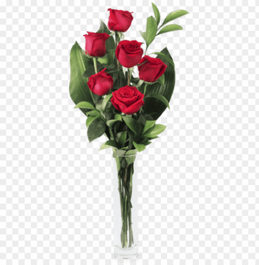 rosas rojas imagen PNG con fondo transparente |  ARRIBApng