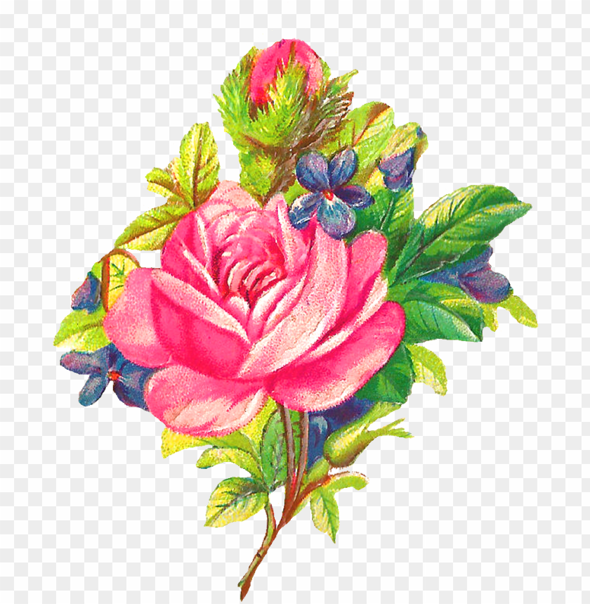 rose flower, rose border, rose tattoo, rose petals falling, red rose, black and white rose