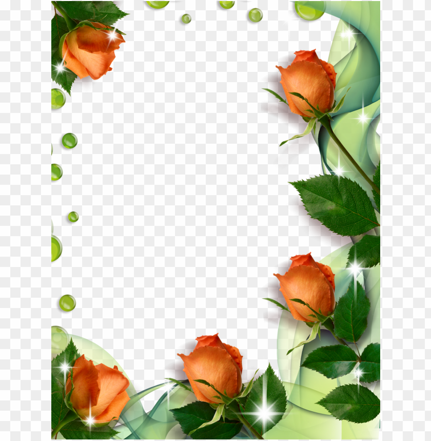 rose border - bordes y marcos para portadas con flores PNG image with  transparent background | TOPpng