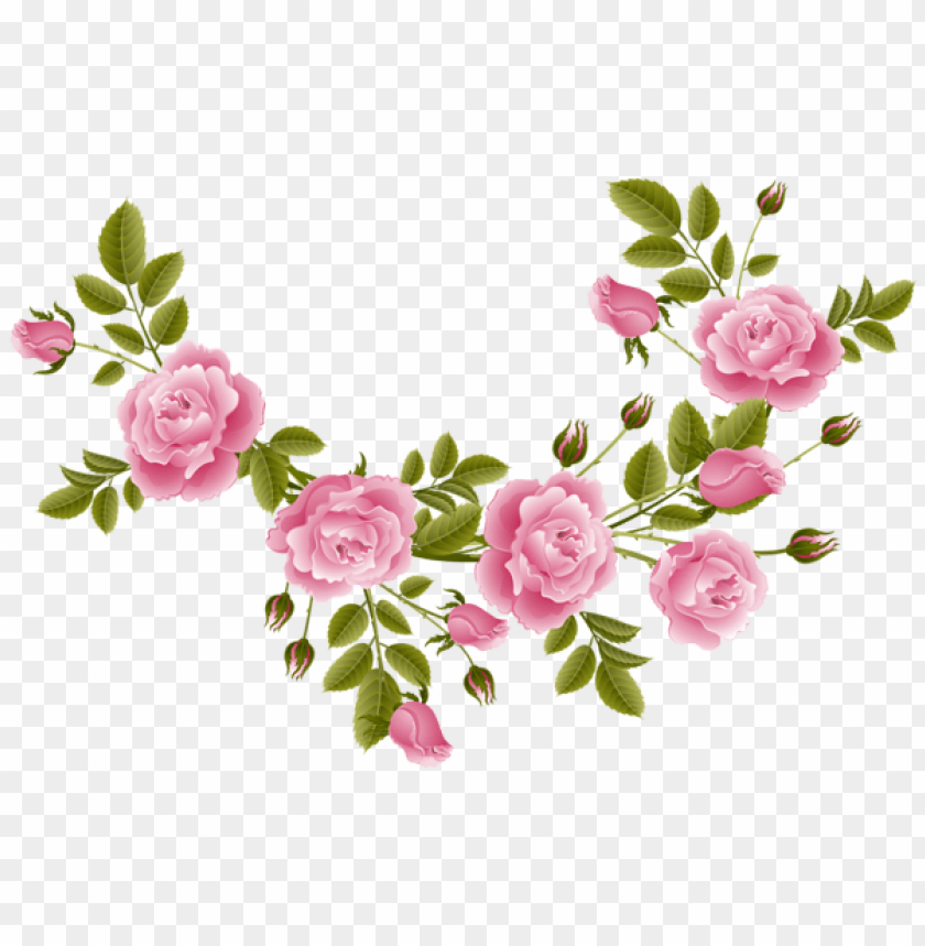 rose decoration transparent