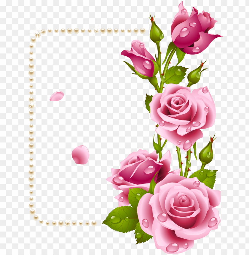 rose dil good morni PNG image with transparent background | TOPpng