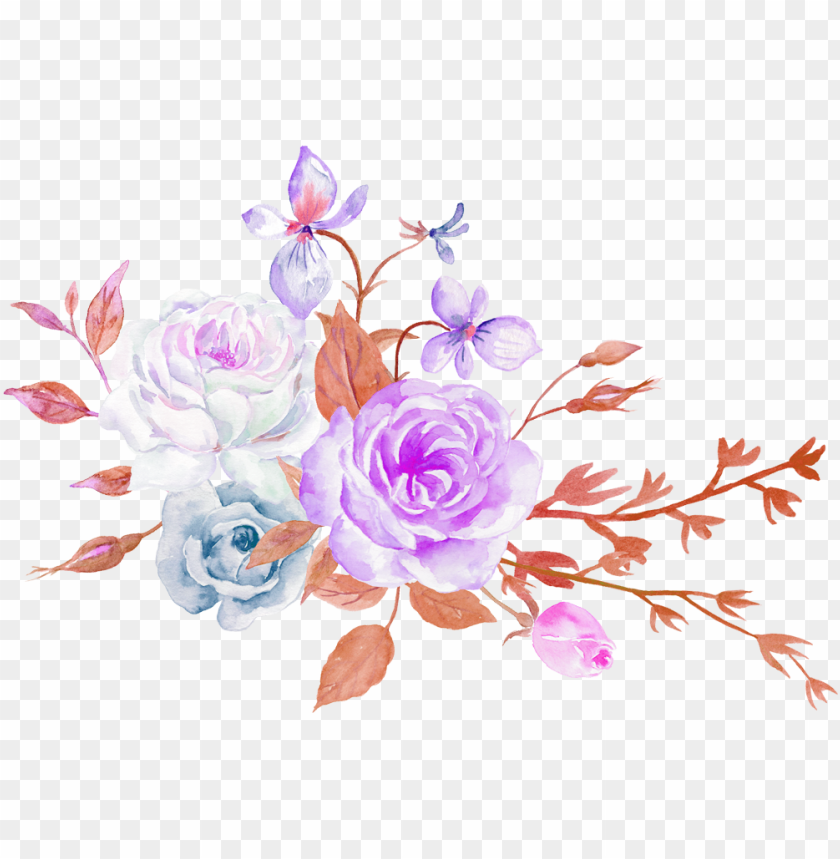 Rose Flower Aesthetics Floral Design - Aesthetic Flowers PNG Transparent  With Clear Background ID 284584