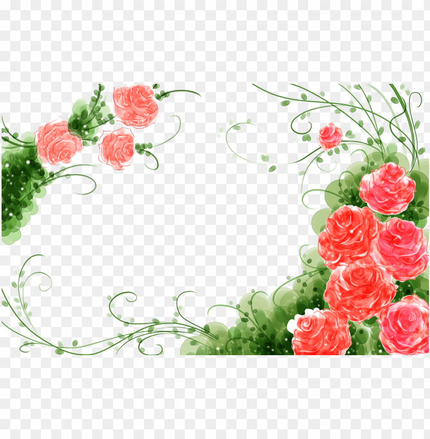 rose flower background design PNG image with transparent background | TOPpng