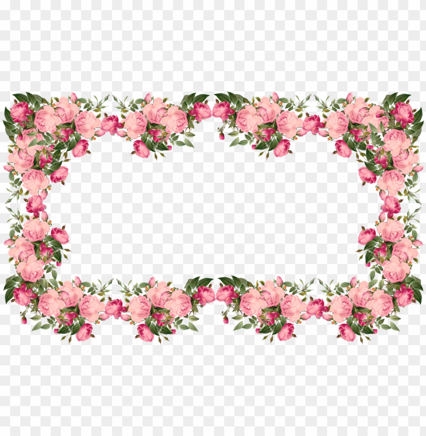 flower, border, rose, frames, roses, decorative, tree