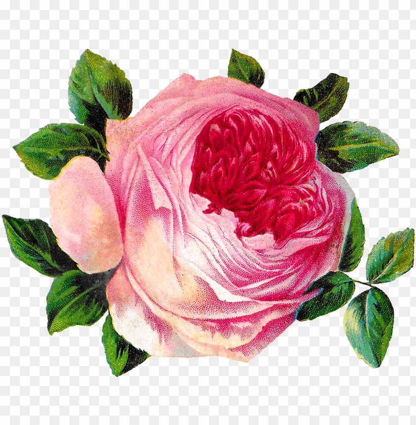 flower, roses bouquet, gardening, guns and roses, craft, pink roses, agriculture