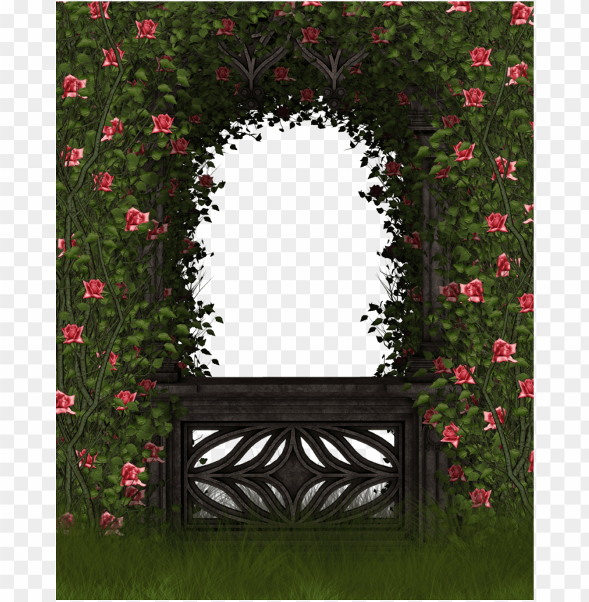 rose garden PNG image with transparent background | TOPpng