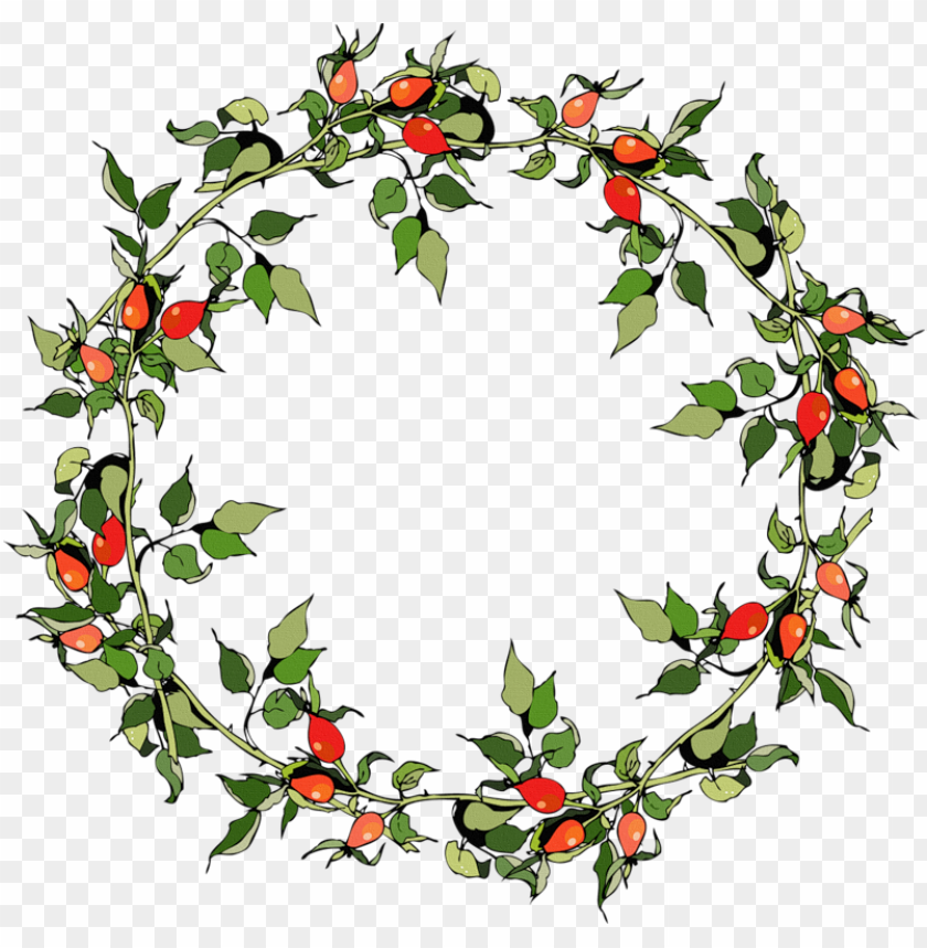 rose hips christmas frames vector graphics PNG transparent with Clear Background ID 442888