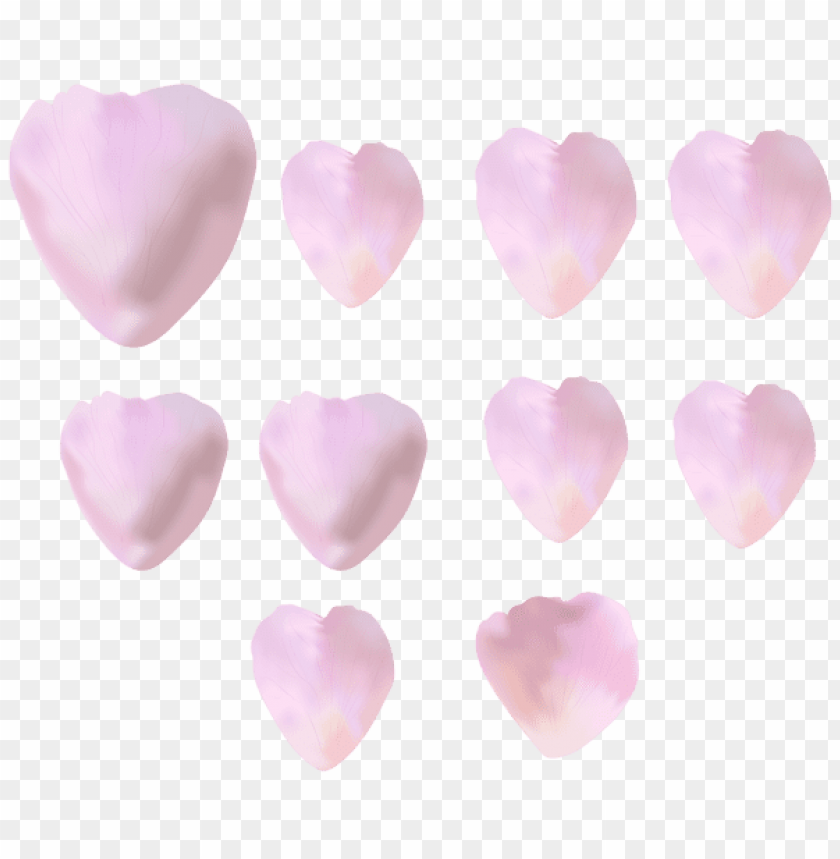 rose petals hearts
