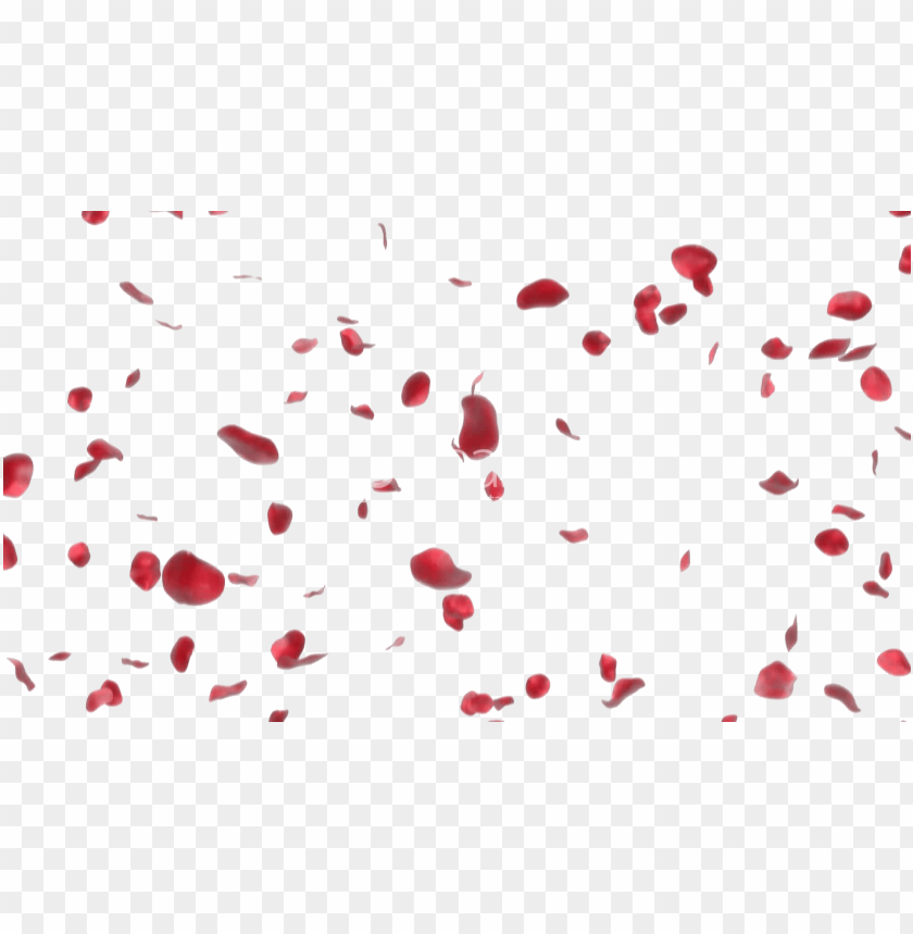 Rose Petals Transparent PNG Transparent With Clear Background ID 81360 ...