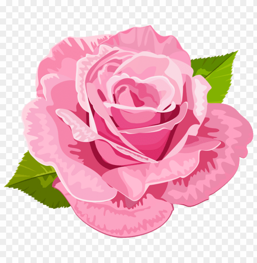 rose pink deco