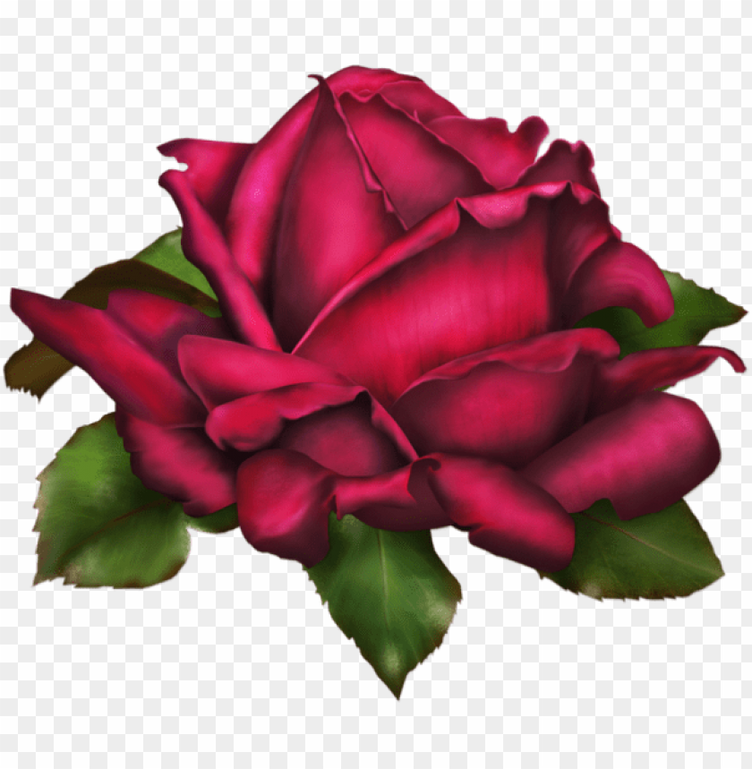 rose png art