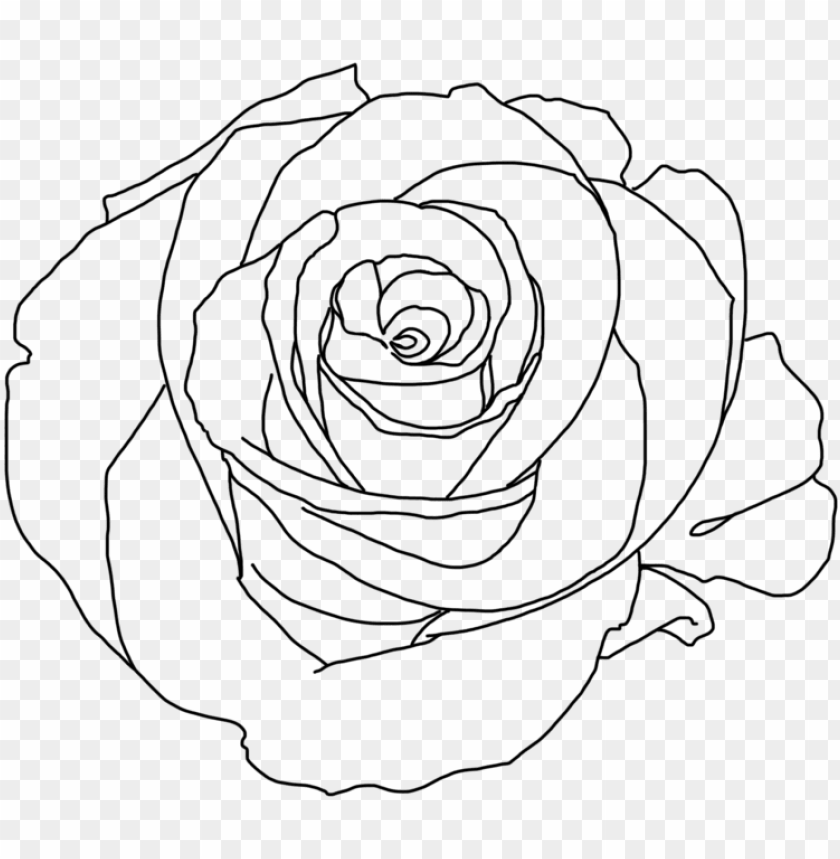 Rose Png Tumblr Download Minimalist Rose Aesthetic Art Png Image With Transparent Background Toppng