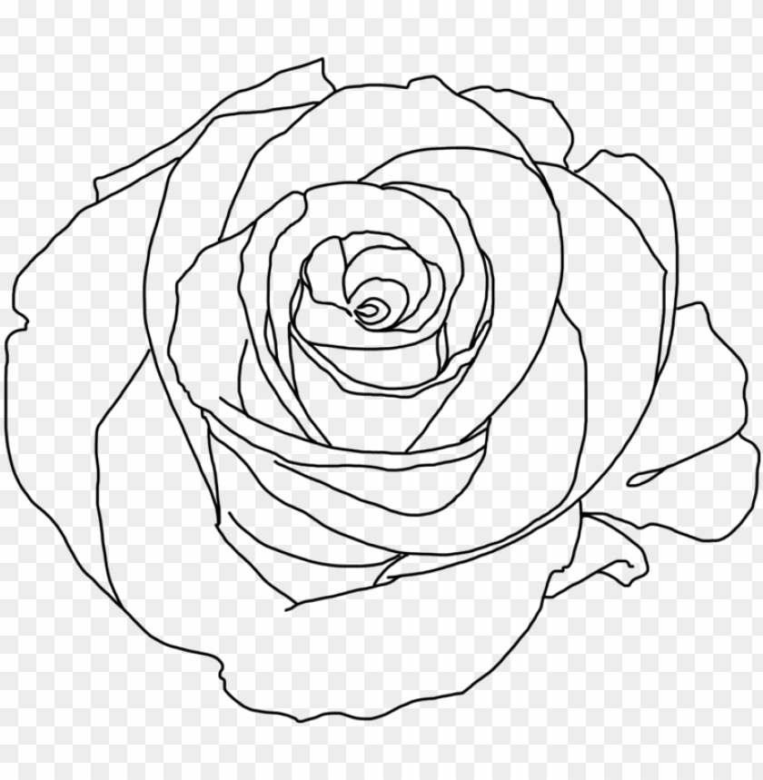 Rose Png Tumblr Download Minimalist Rose Aesthetic Art Png Image With Transparent Background