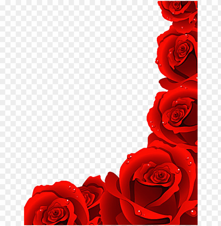 rose royalty - rose flowers images hd PNG image with transparent background  | TOPpng