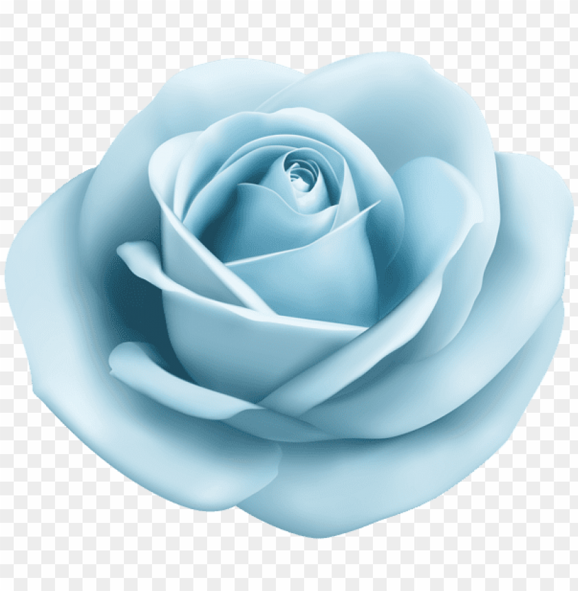rose soft blue transparent