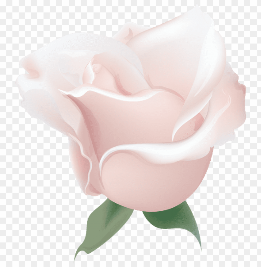 rose soft deco