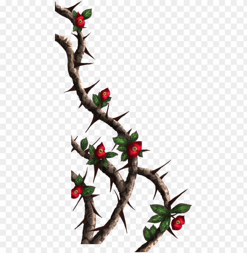 rose thorns PNG transparent with Clear Background ID 81355