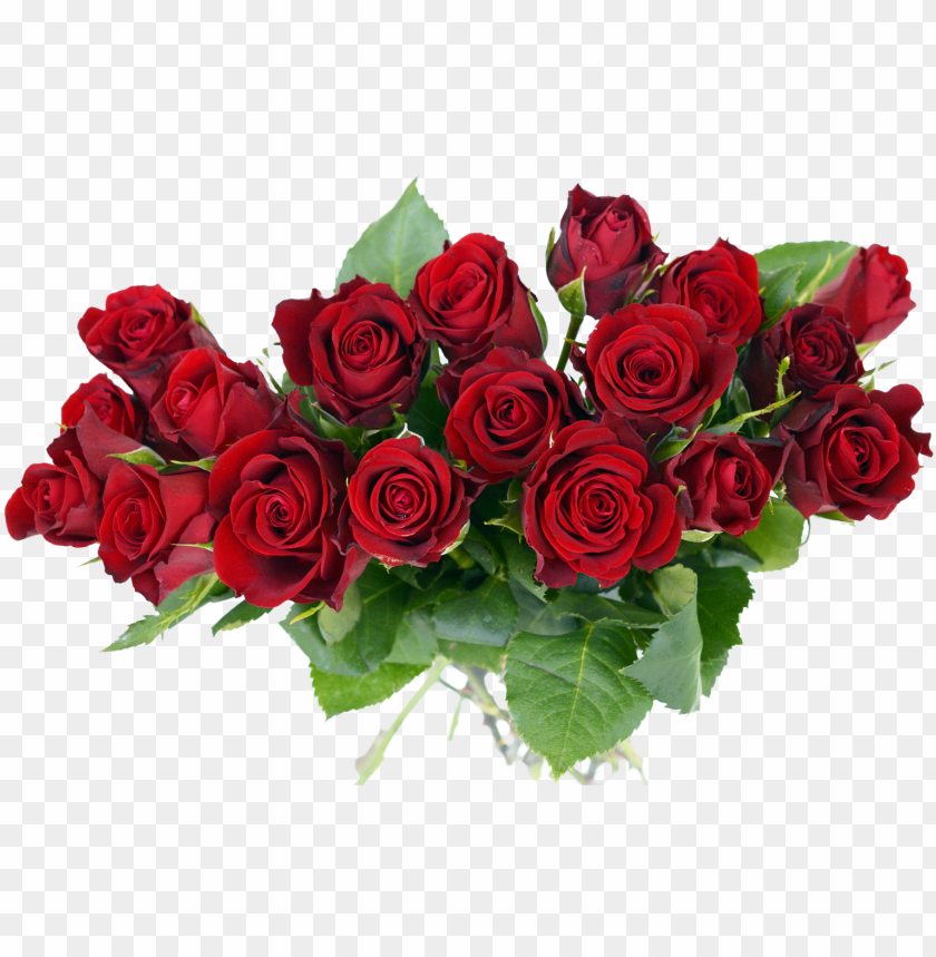 rose transparent pictures free - rose flower bouquet PNG image with  transparent background | TOPpng