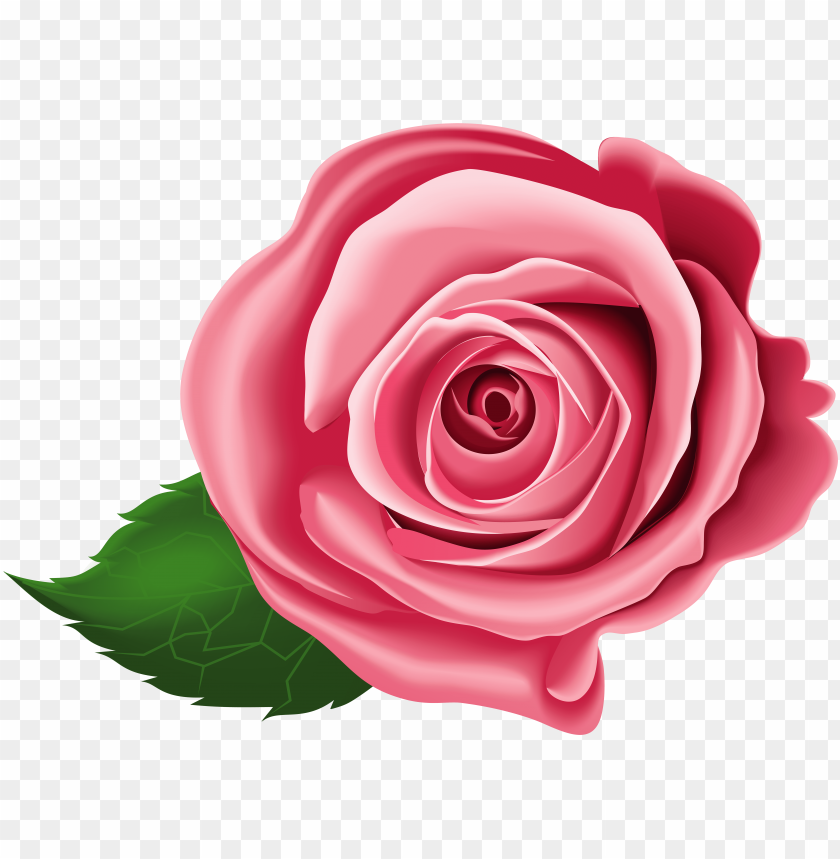 Rose Transparent Png Clip Art Free Transparent Roses Clipart Png