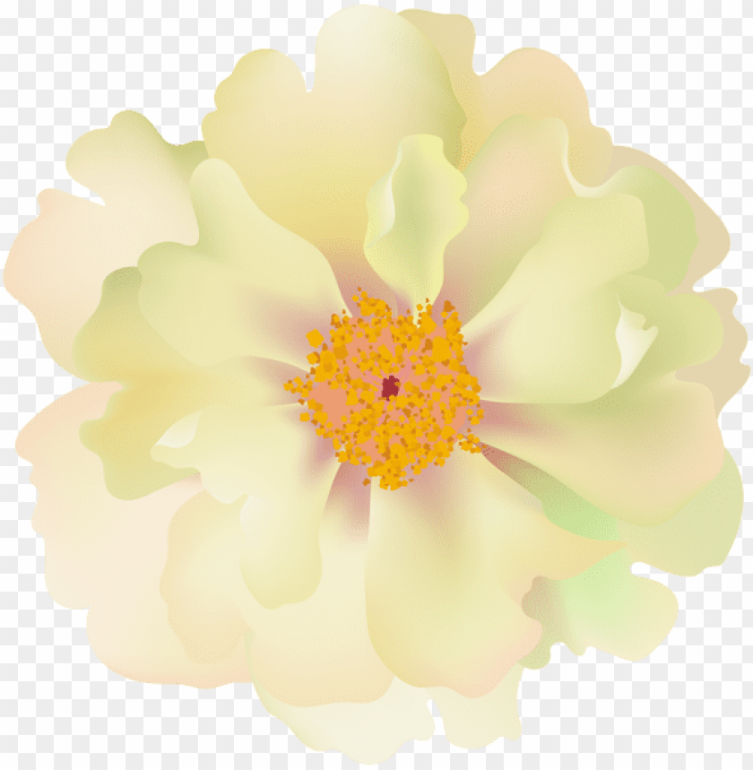 PNG image of rosebush flower with a clear background - Image ID 45040