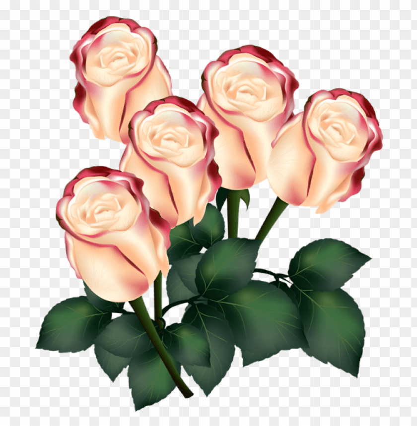 PNG image of roses with a clear background - Image ID 45186