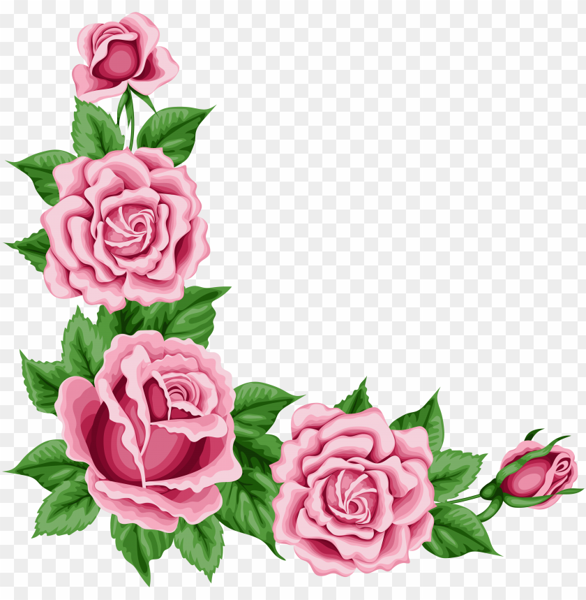 corner border, bouquet of roses, corner design, corner ribbon, corner frame, corner